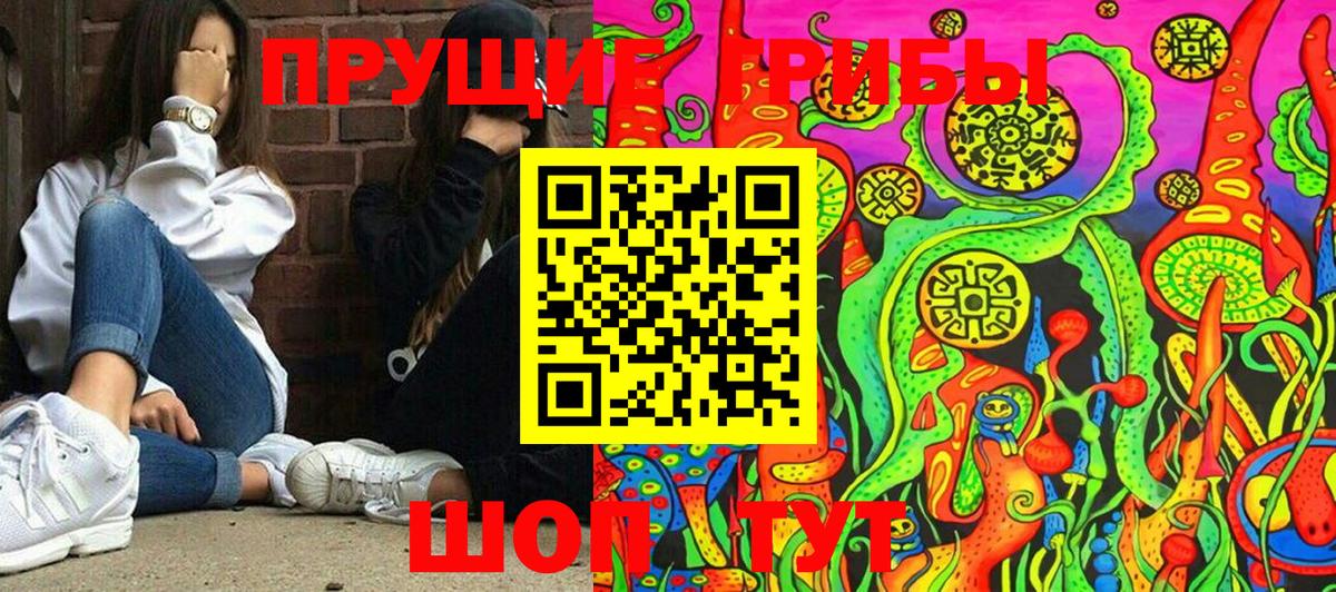 Серов  Псилоцибиновые грибы GOLDEN TEACHER  Вход с VPN  Псилоцибиновые грибы ЛСД 